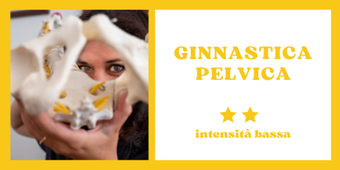 Ginnastica Pelvica Ginnastica Pelvica
